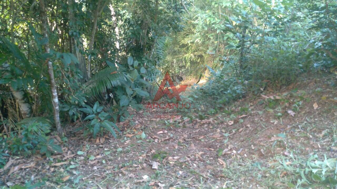 Terreno, 974 m² - Foto 13