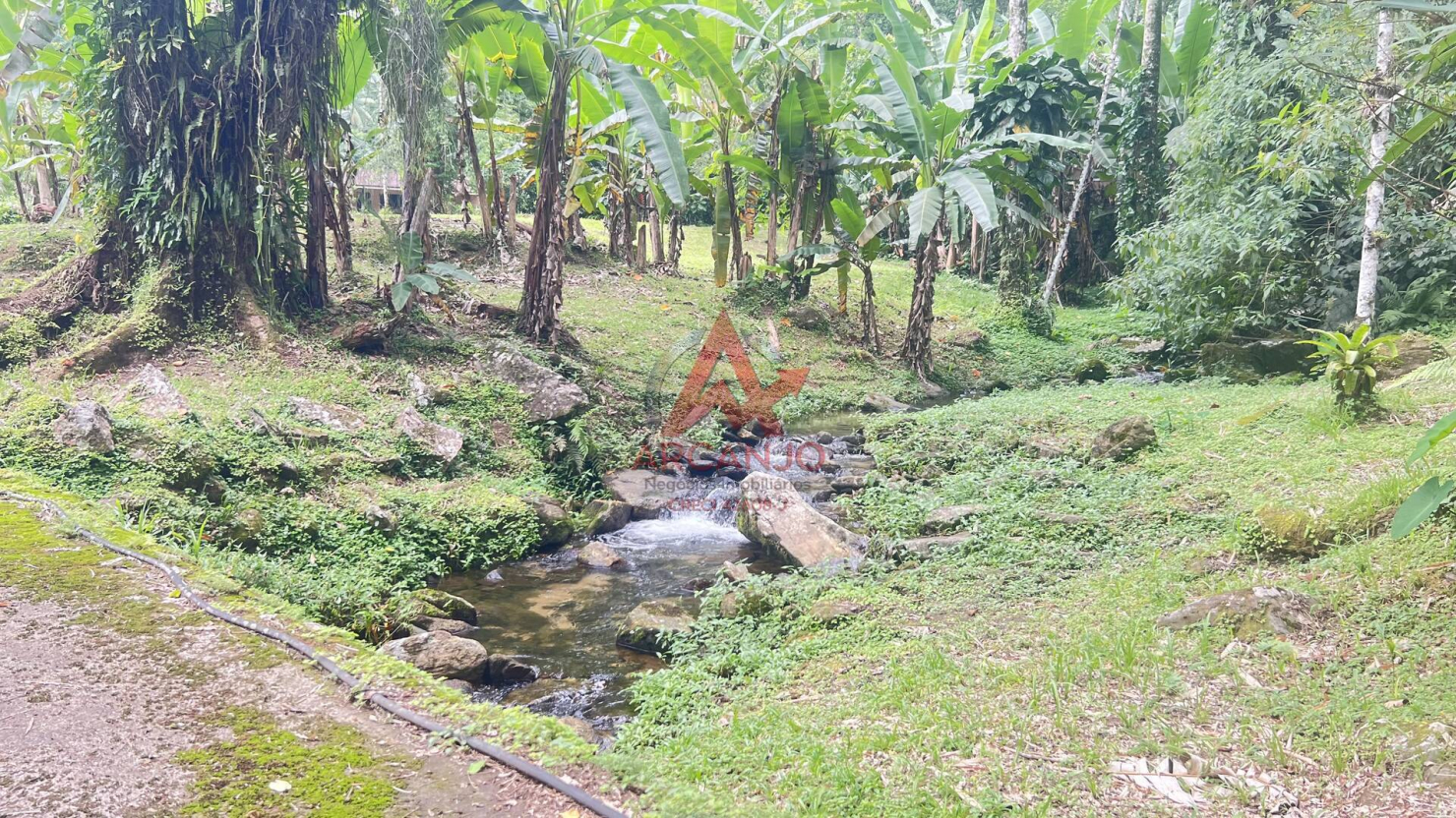 Chácara, 3 quartos, 1 hectares - Foto 24