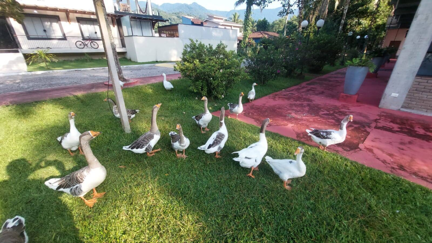 Casa de Condomínio, 3 quartos - Foto 43