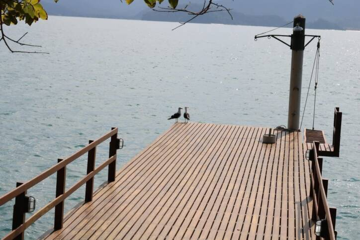 Casa, 3 quartos, 437 m² - Foto 6