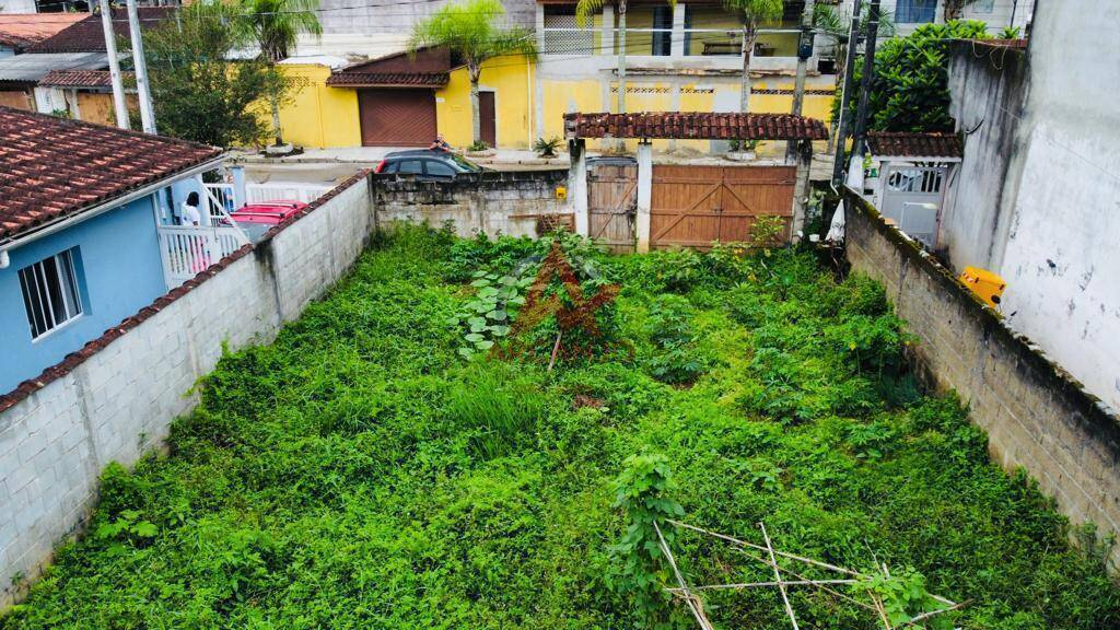 Terreno, 300 m² - Foto 5