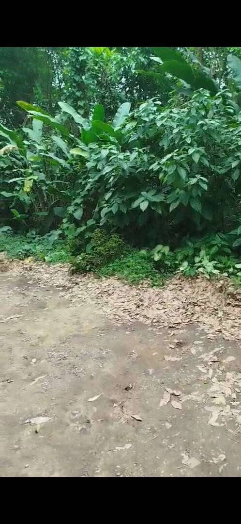 Terreno, 500 m² - Foto 1