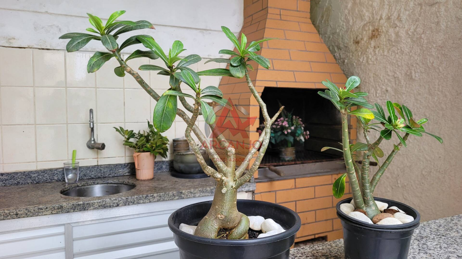 Apartamento, 1 quarto, 50 m² - Foto 3