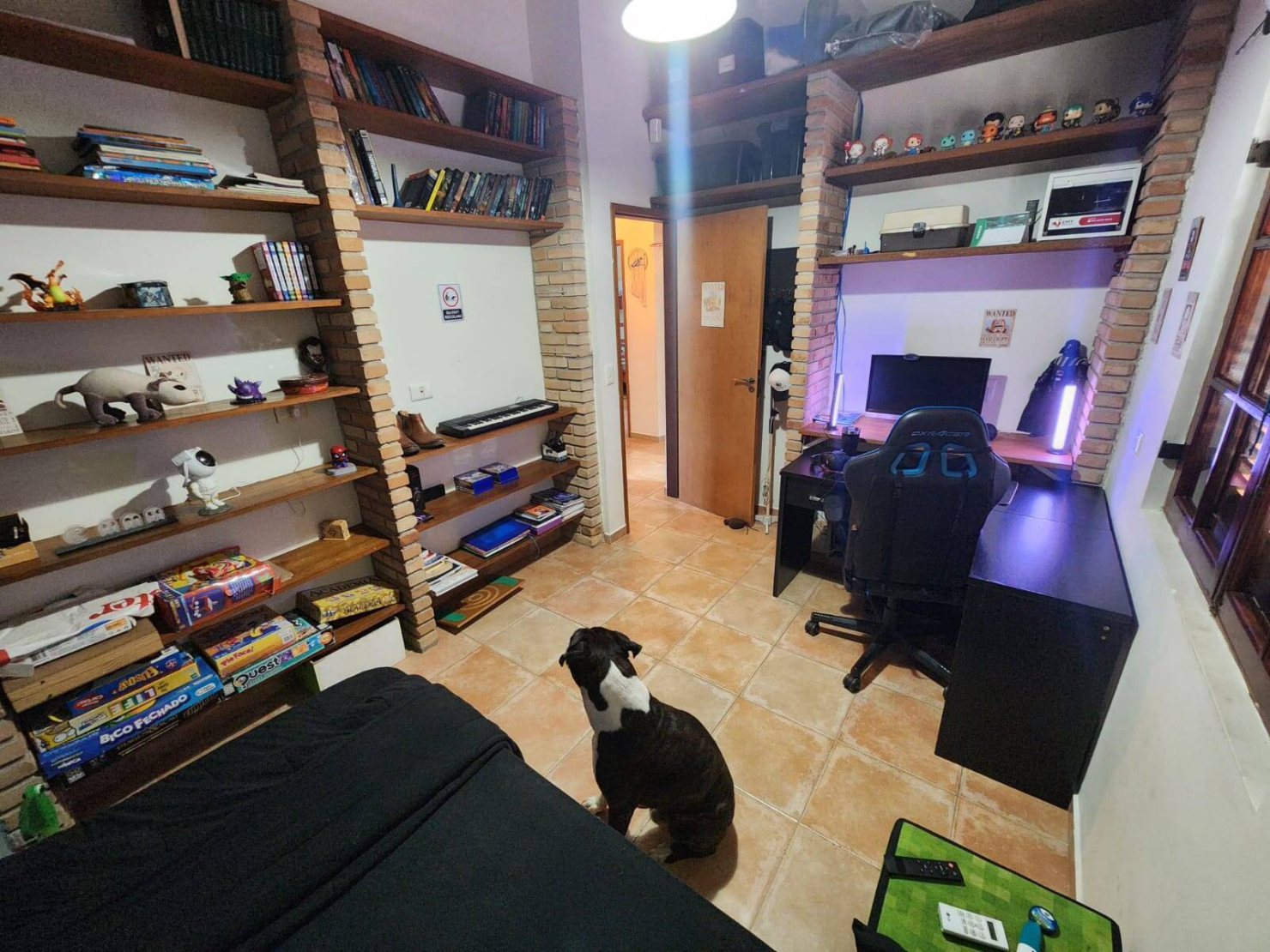 Casa, 4 quartos, 813 m² - Foto 19