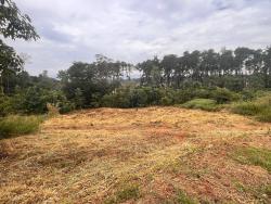Venda em Tanque - Atibaia