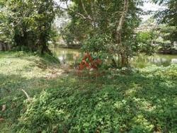 Terreno para Venda em Ubatuba - 3