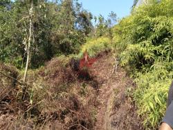 Terreno para Venda em Ubatuba - 2