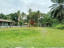 Terreno para Venda em Ubatuba - 2