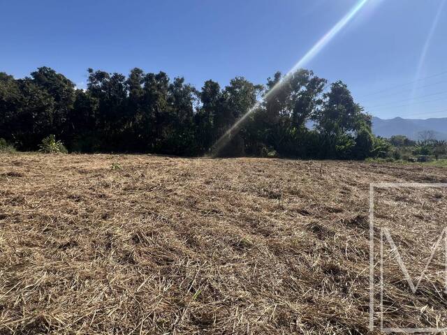 #6399 - Terreno para Venda em Ubatuba - SP - 3