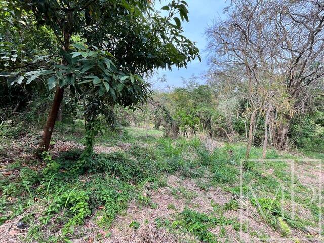 Venda em Vila Santista - Atibaia
