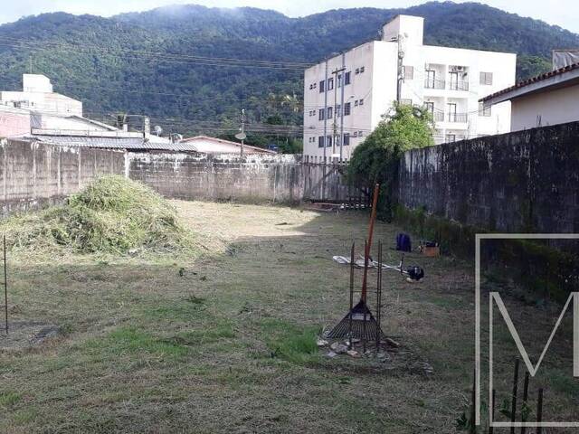 #6668 - Terreno para Venda em Ubatuba - SP - 2