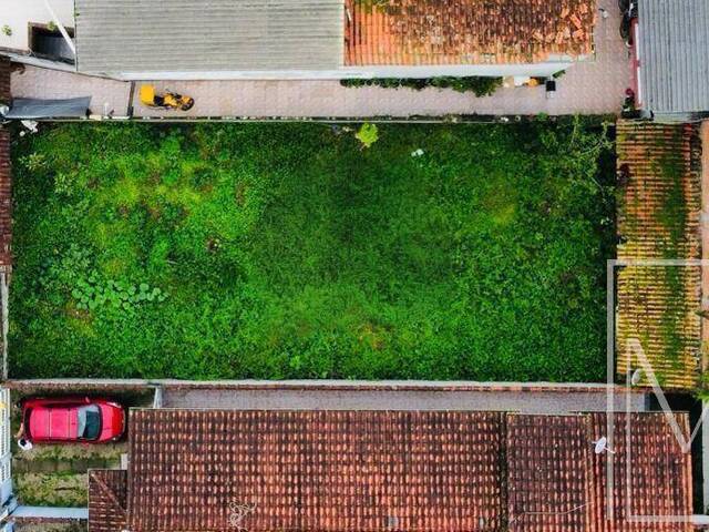 #5616 - Terreno para Venda em Ubatuba - SP - 1