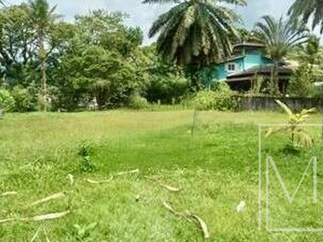 #5764 - Terreno para Venda em Ubatuba - SP - 3