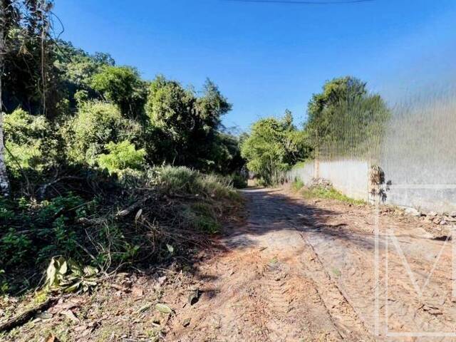 #6434 - Terreno para Venda em Ubatuba - SP - 1