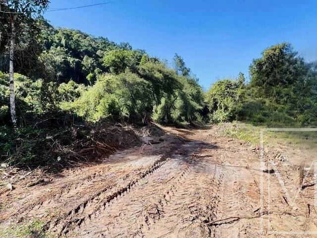 #6434 - Terreno para Venda em Ubatuba - SP - 2