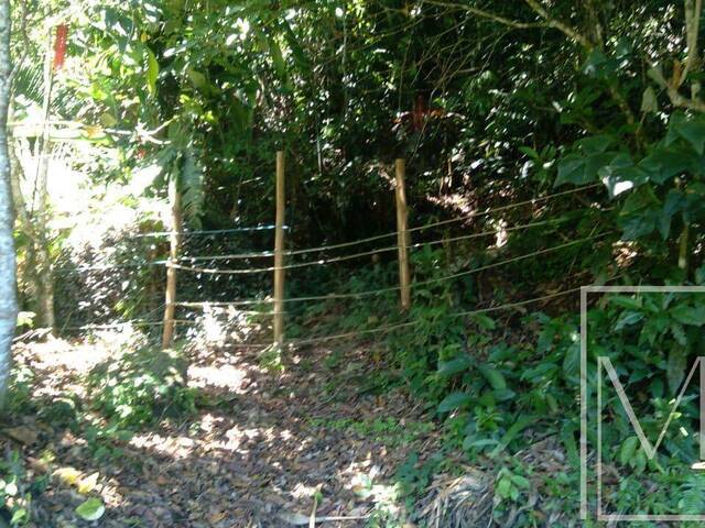 #5286 - Terreno para Venda em Ubatuba - SP - 1