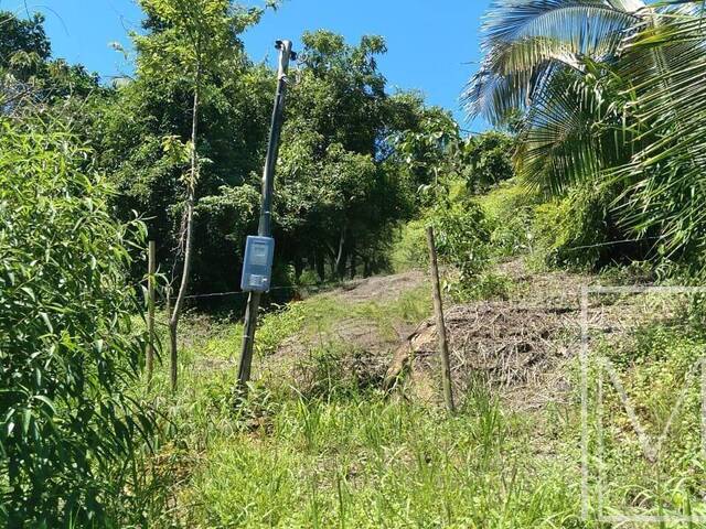 #5286 - Terreno para Venda em Ubatuba - SP - 2