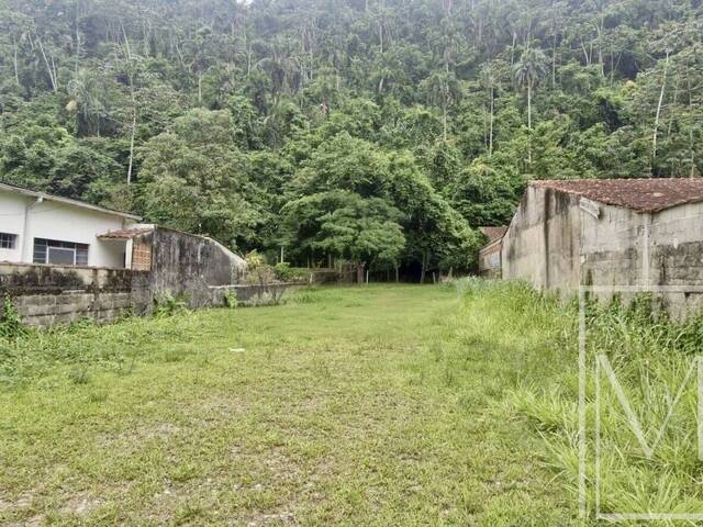 #71019 - Terreno para Venda em Ubatuba - SP - 1