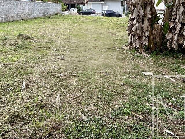 #6564 - Terreno para Venda em Ubatuba - SP - 1