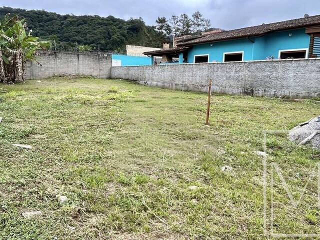 #6564 - Terreno para Venda em Ubatuba - SP - 2