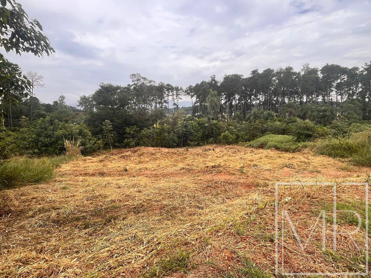 Terreno, 1000 m² - Foto 1