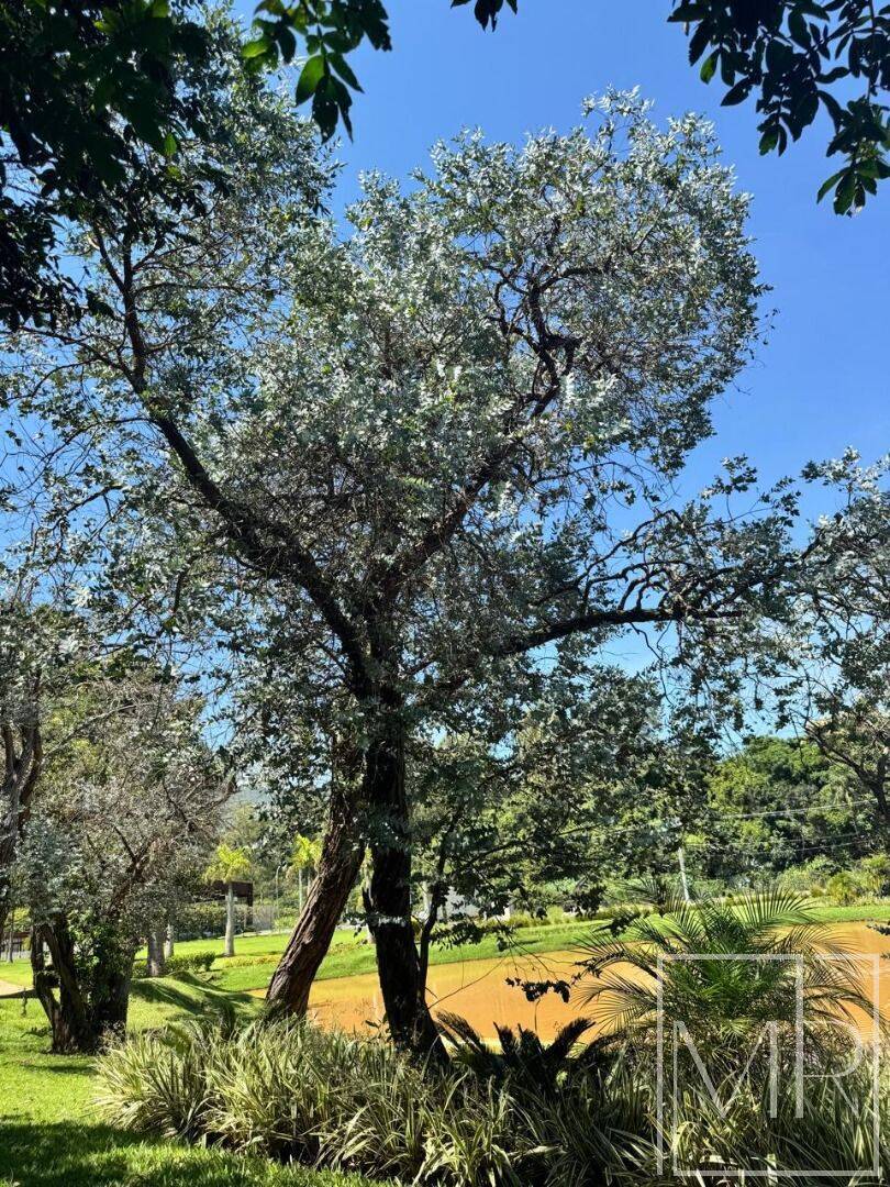 Terreno, 707 m² - Foto 11