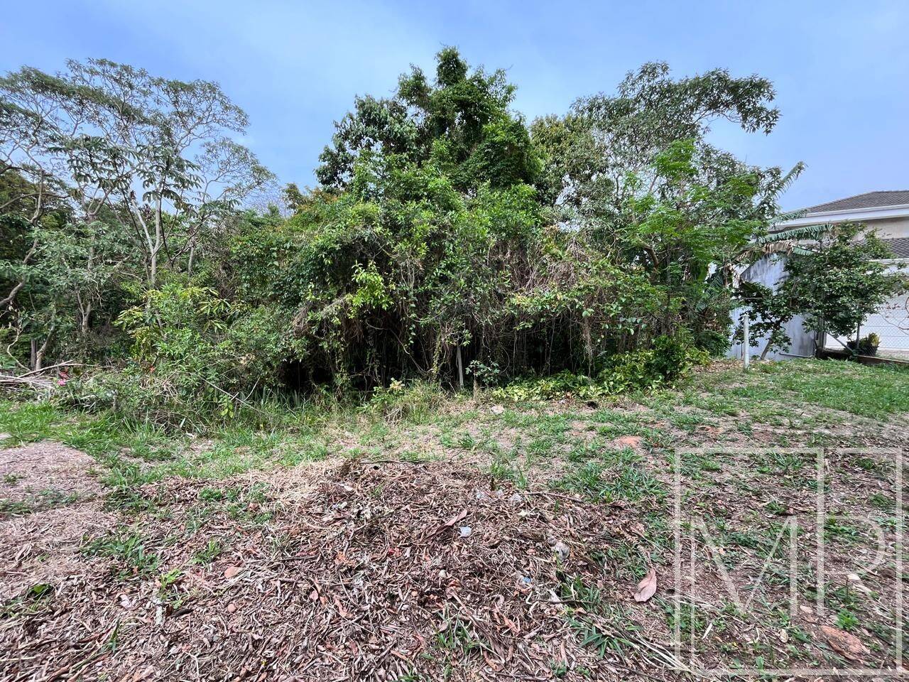 Terreno, 1 hectares - Foto 4