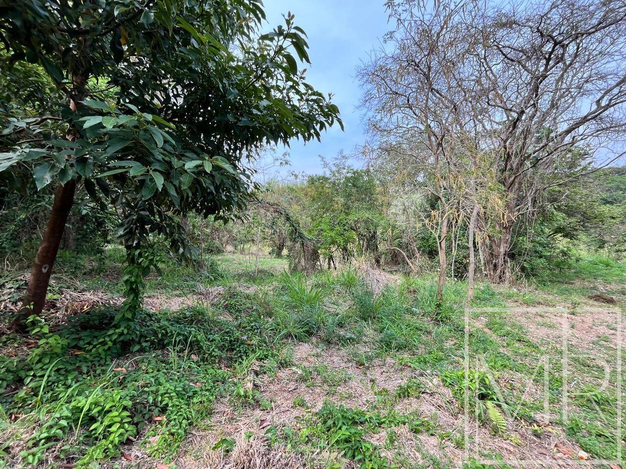 Terreno, 1 hectares - Foto 9