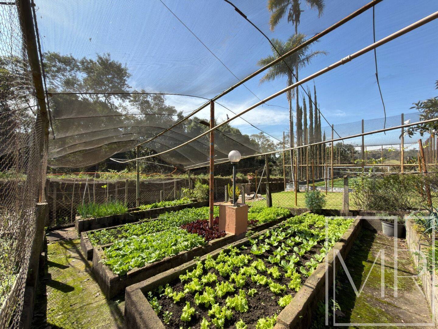 Casa, 3 quartos, 567 m² - Foto 19