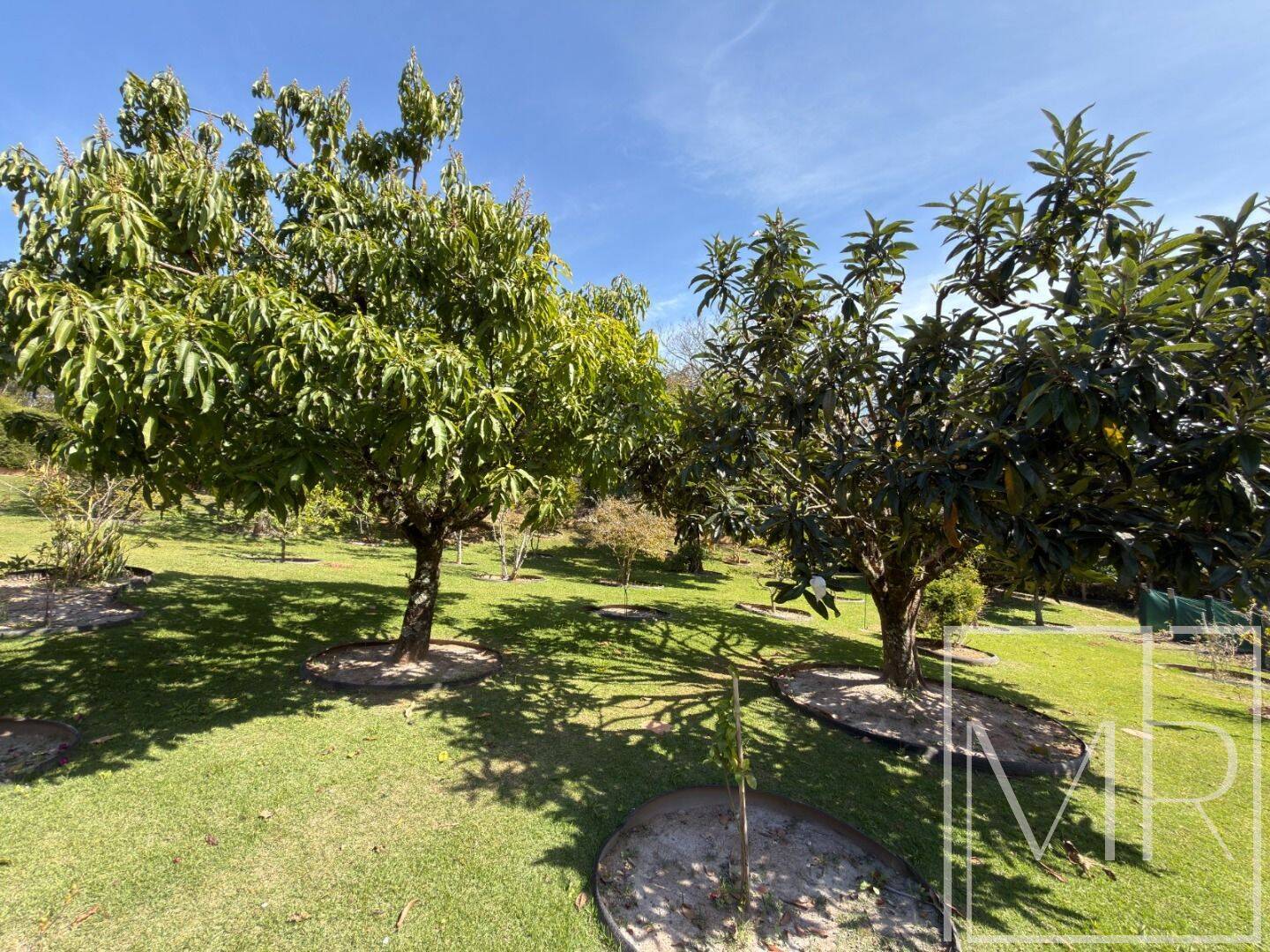 Casa, 3 quartos, 567 m² - Foto 10