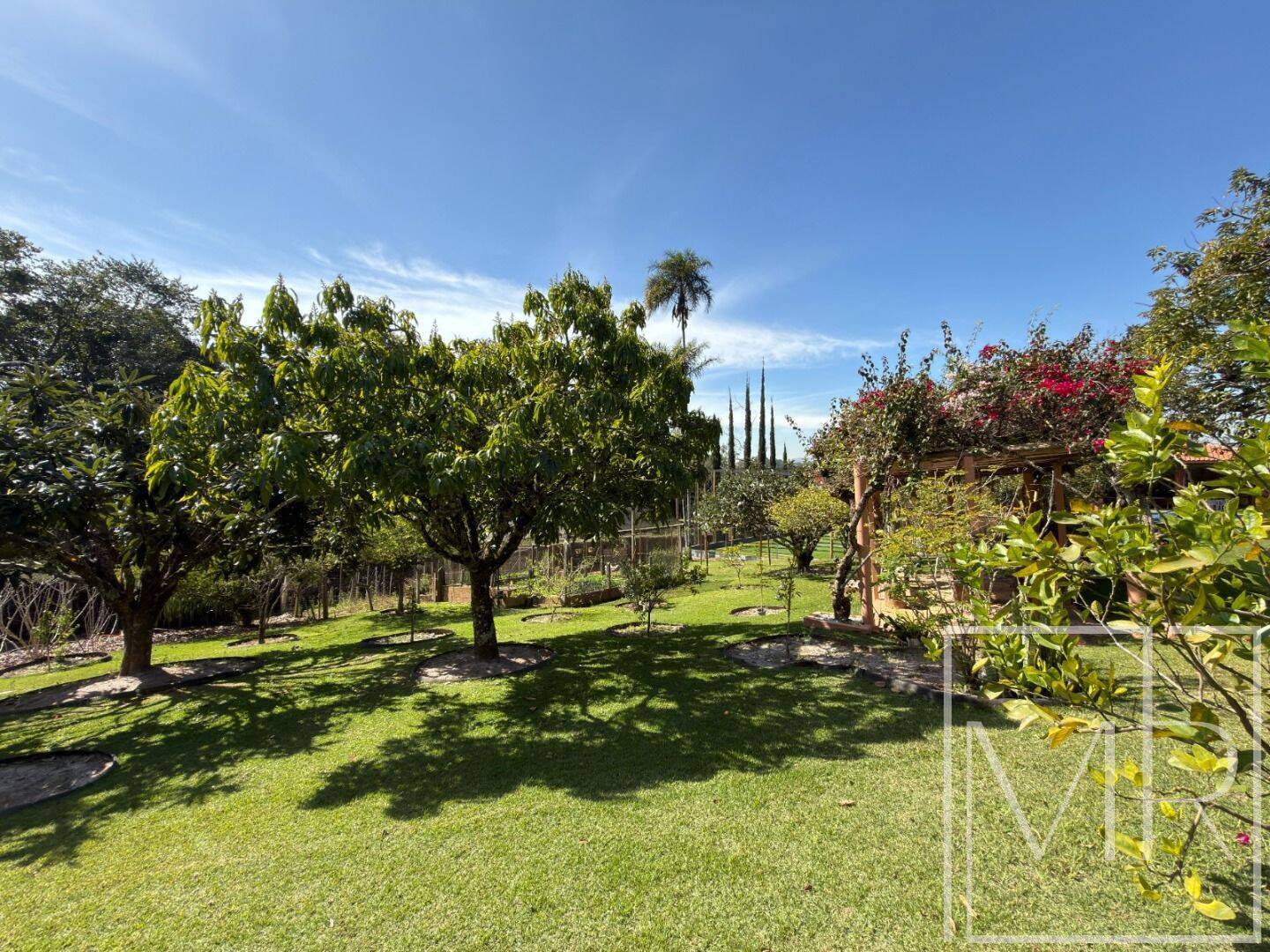 Casa, 3 quartos, 567 m² - Foto 8