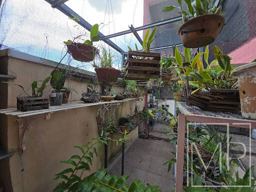 Casa, 4 quartos, 328 m² - Foto 17