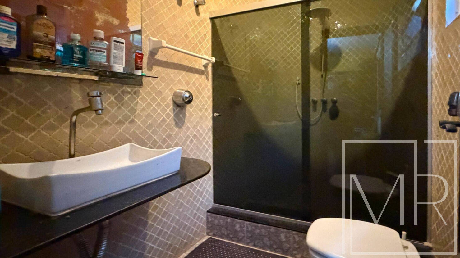 Casa, 4 quartos, 335 m² - Foto 35